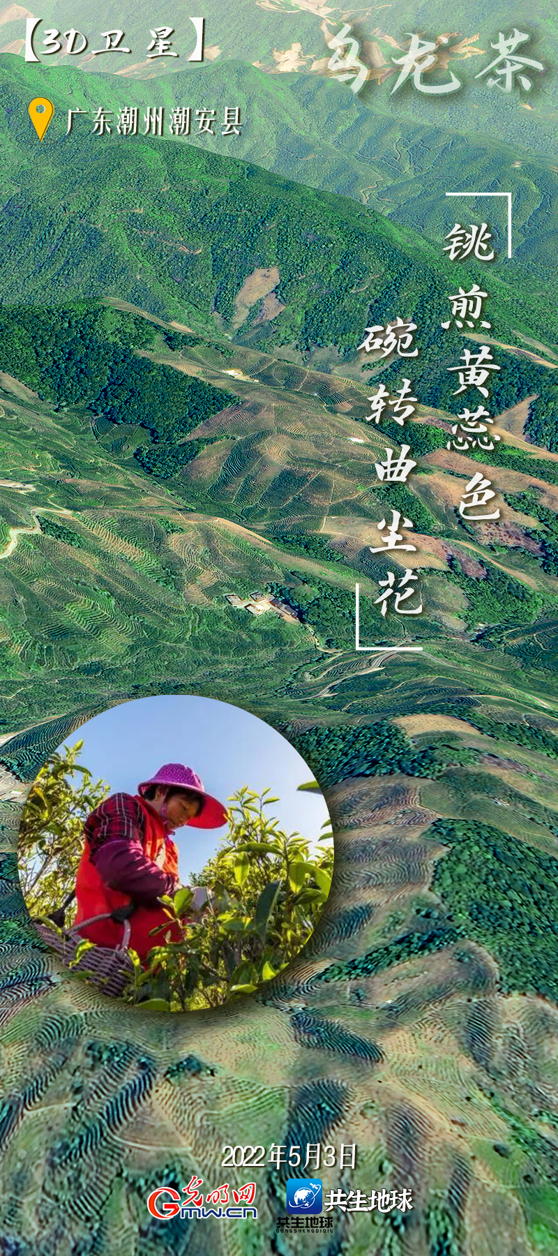 【3D卫星】“中国茶”申遗成功！卫星视角“瞰”我国六大茶类主产地