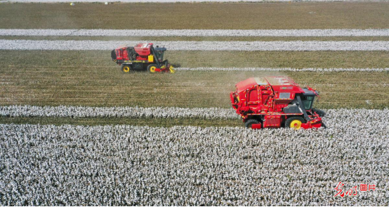 卫星瞰丰收丨农业机械化助力全国棉花再获丰收
