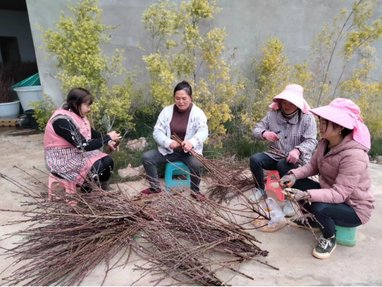 “鲜花经济”持续回暖 家庭用花成为消费趋势(图4)