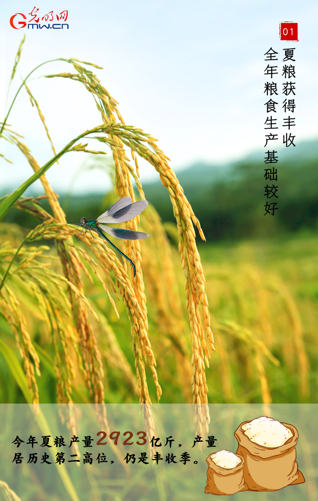 【2023中国经济半年报】海报丨上半年我国农业农村经济如何保持“稳中有进”？