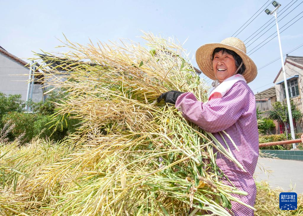 夏日喜收获