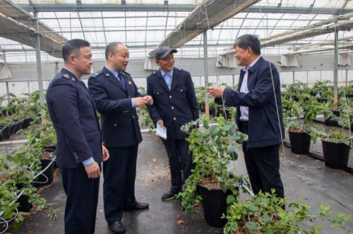 且留芳华熠税月 春日融融焕新颜 重走“小岛税官”来时路