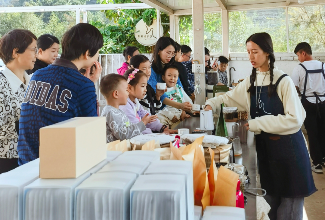 普洱思茅：茶韵咖香交织 助力产业升级