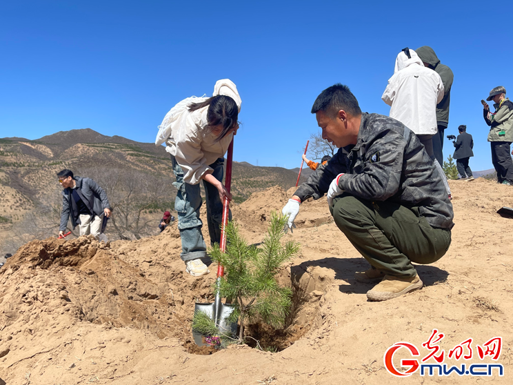 “云种树”变成真森林 蚂蚁森林种下第6亿棵树