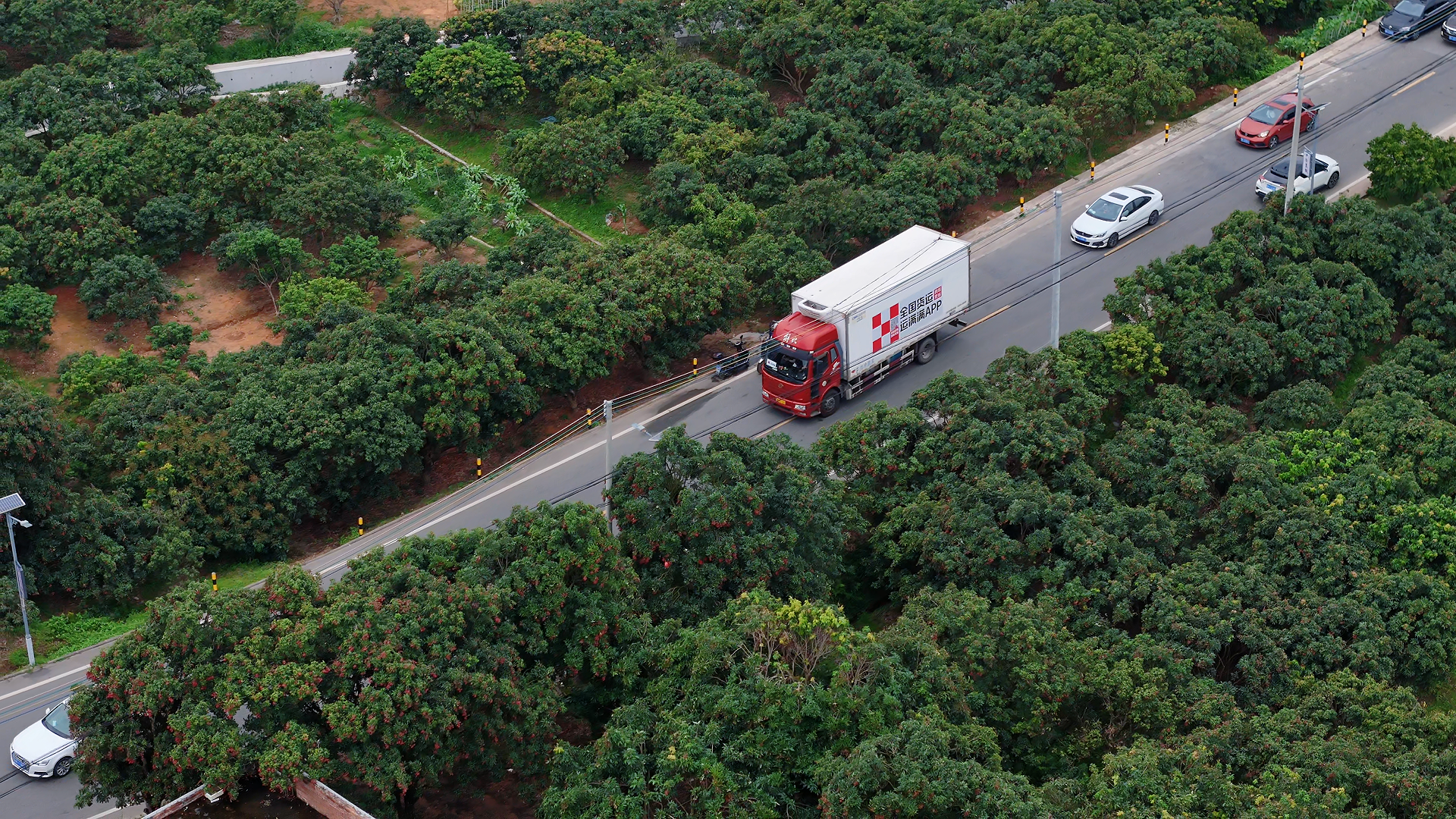 1700公里冷链护航 运满满冷运助力茂名荔枝飘香长三角
