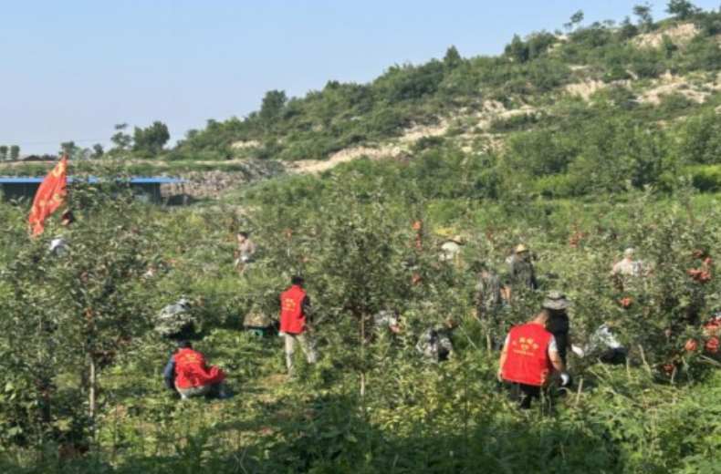 河南博爱：生态修复激活乡村“绿色经济”