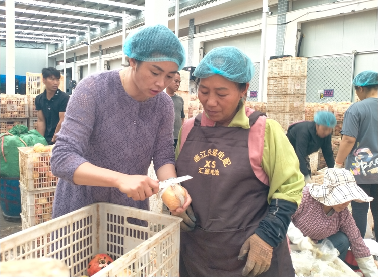 周莲锦:为让蒙自石榴“涅槃重生” 周莲锦:为让蒙自石榴“涅槃重生”