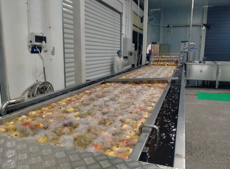 周莲锦:为让蒙自石榴“涅槃重生” 周莲锦:为让蒙自石榴“涅槃重生”