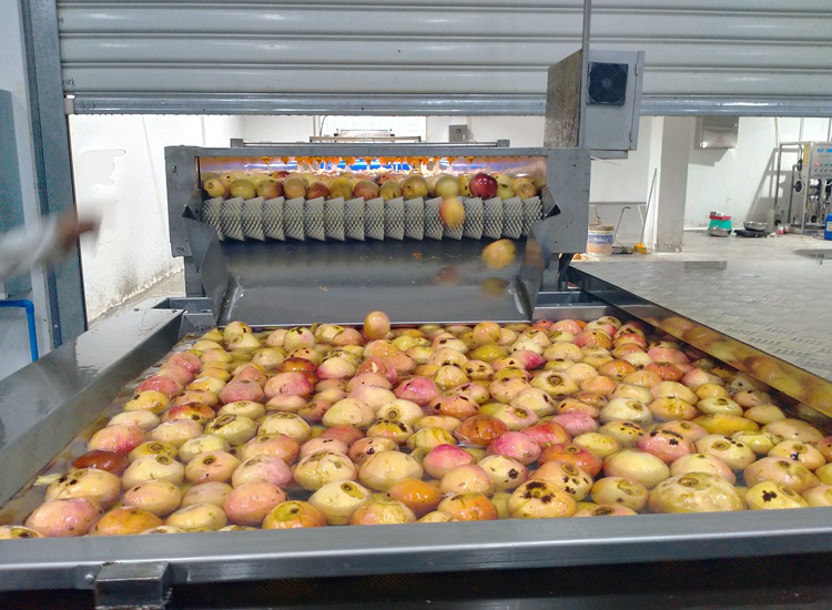 周莲锦:为让蒙自石榴“涅槃重生” 周莲锦:为让蒙自石榴“涅槃重生”