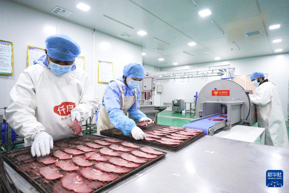 祁连山下的“新牧歌”