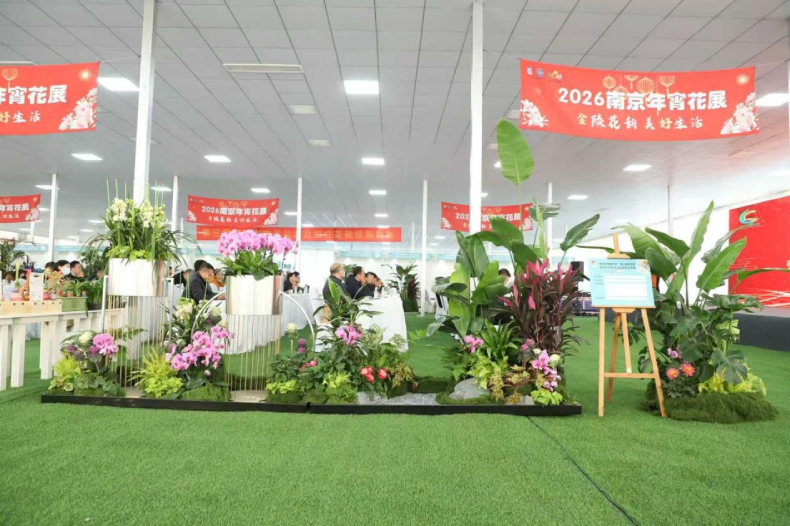 “花样经济”绘就南京江宁乡村振兴新画卷