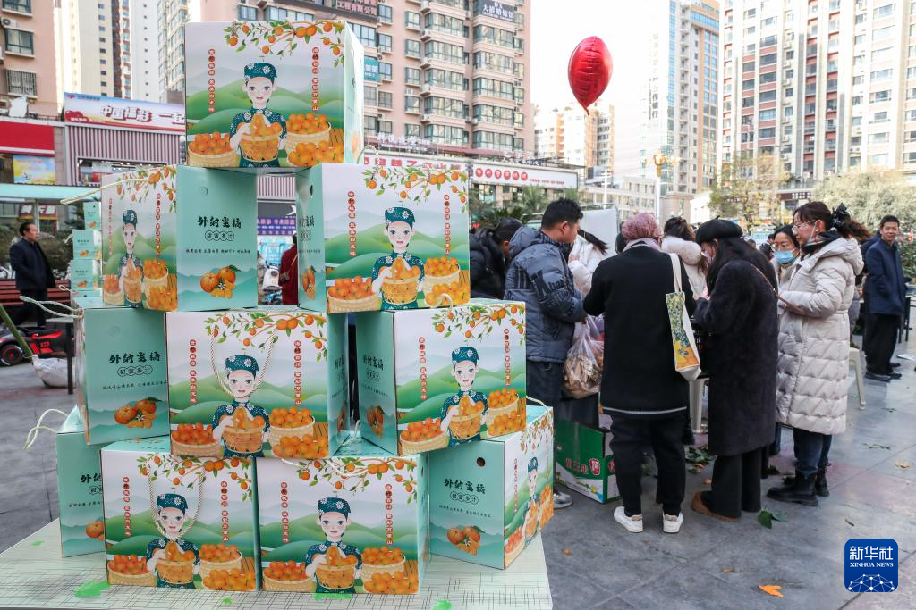 甘肃陇南:“冬至大集”助农增收