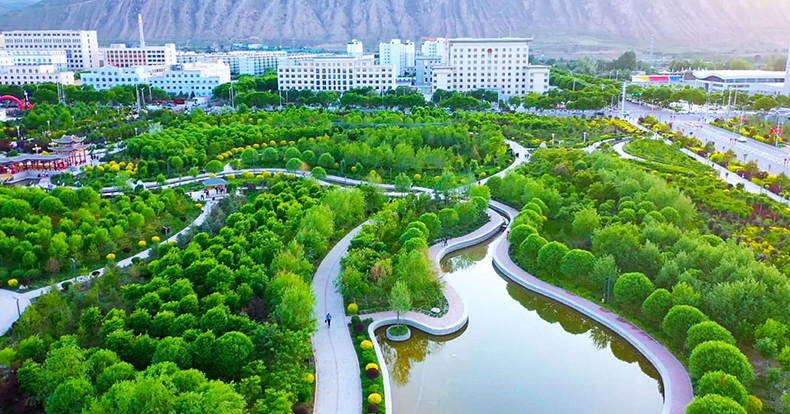 以“绣花”功夫赋能城市治理 让民生福祉在细微处升温