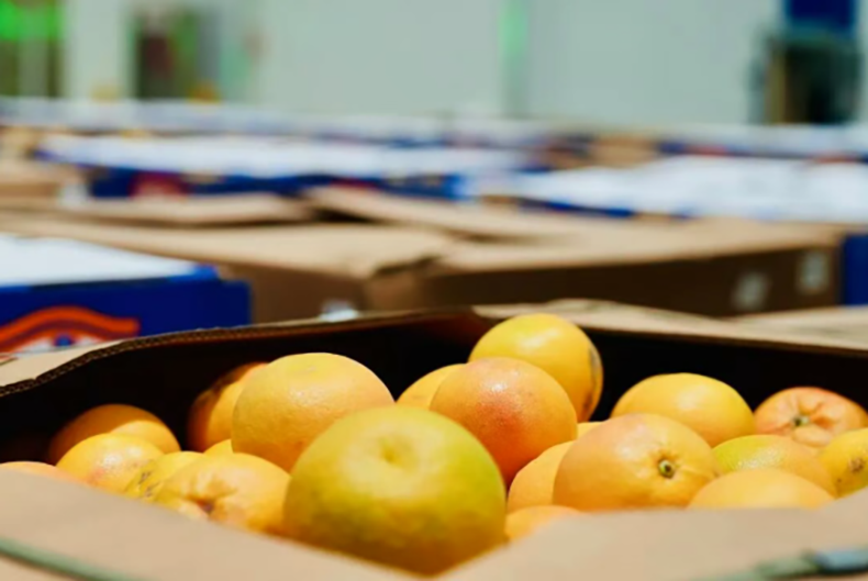 八秩启新程 中国外运多向发力实干开局