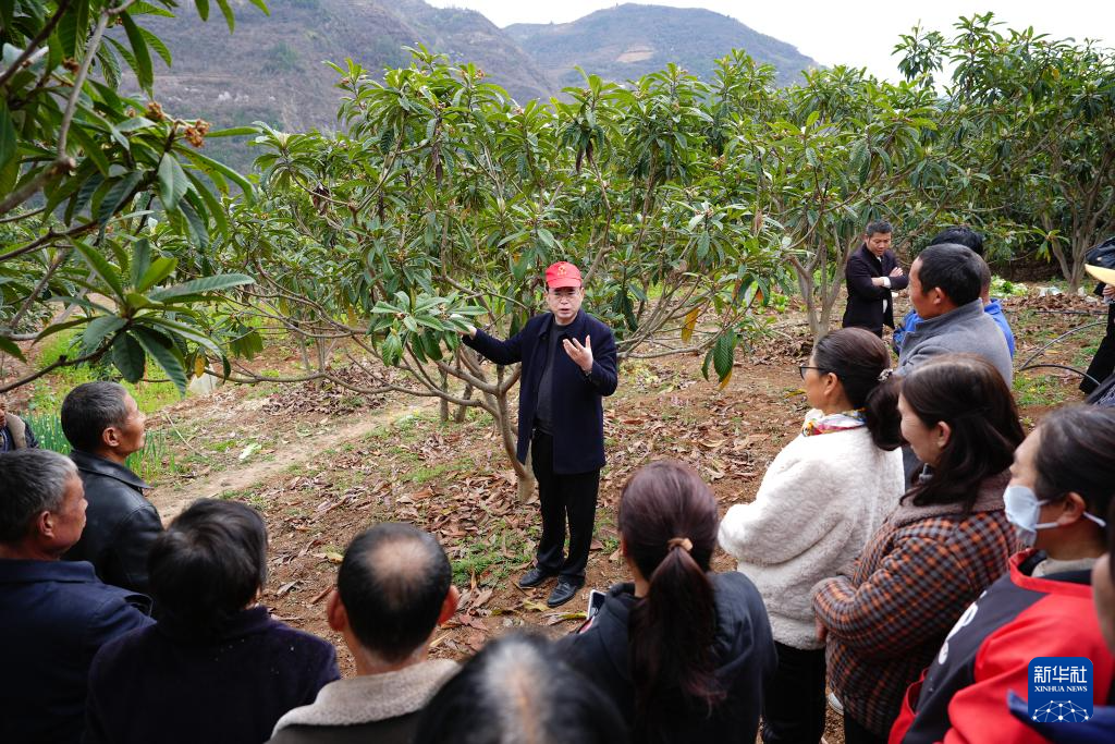 陕西旬阳:春意盎然农事忙