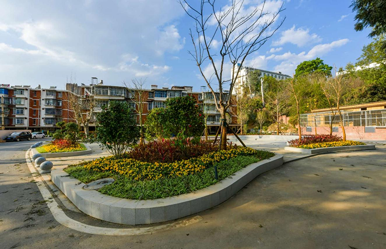 攀枝花市仁和区鑫南路老旧小区“蝶变”焕新 改出幸福新生活