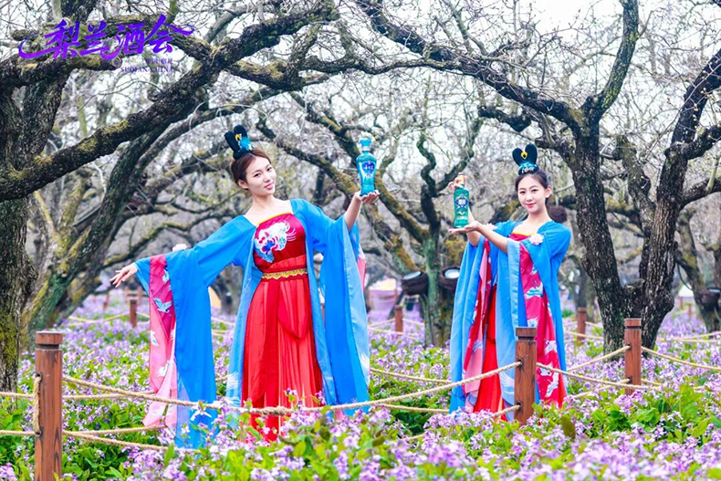 洋河飘香：沉浸式体验“梨兰酒会”春日盛宴