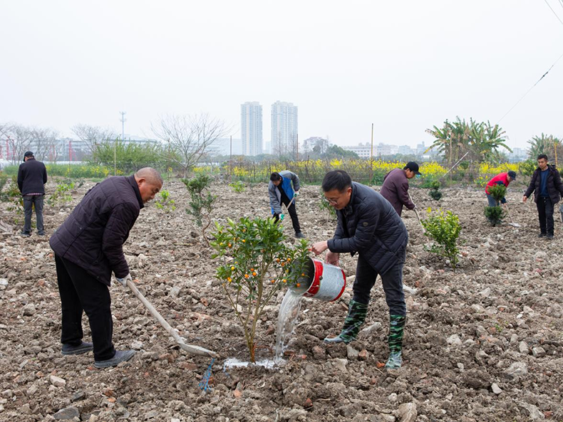 北白象镇垟田村开展植树活动
