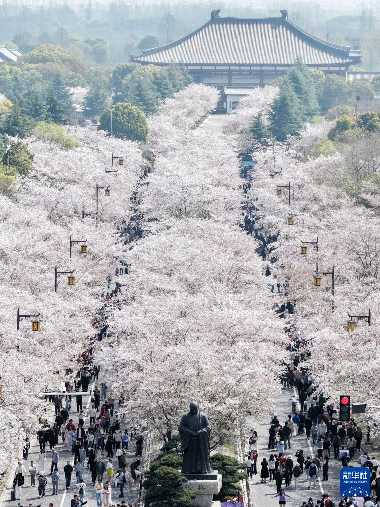 假期里的春日经济