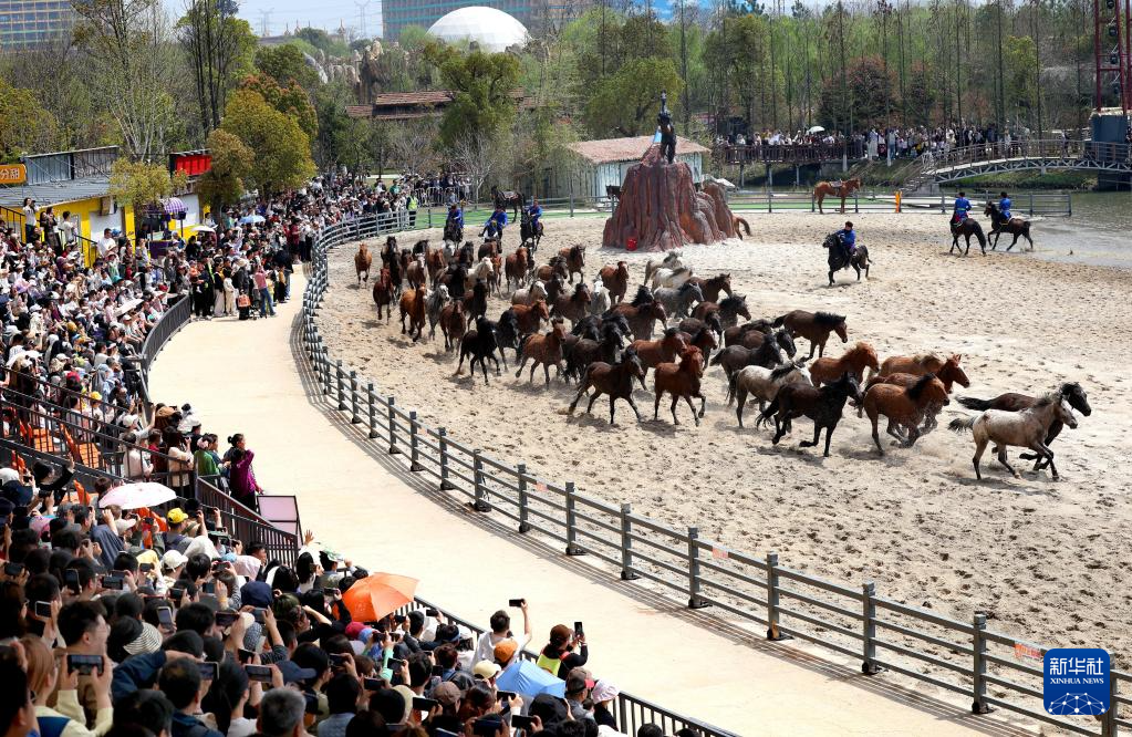 假期里的春日经济