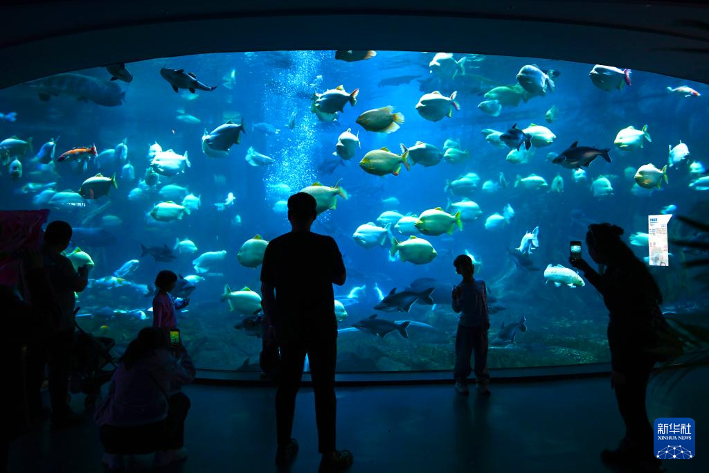 假期里的春日经济