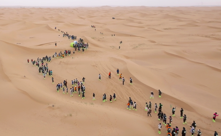 蚂蚁森林十周年重回阿拉善 “继续种下新十年”