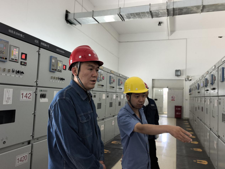 国网岷县供电公司：紧盯重点保供电 排查隐患守平安